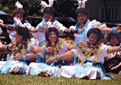 Fiji.jpg (31022 bytes)