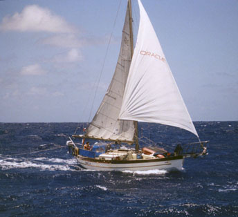 Orcas.jpg (29226 bytes)