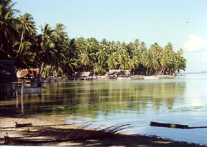 PukaPuka.jpg (29175 bytes)